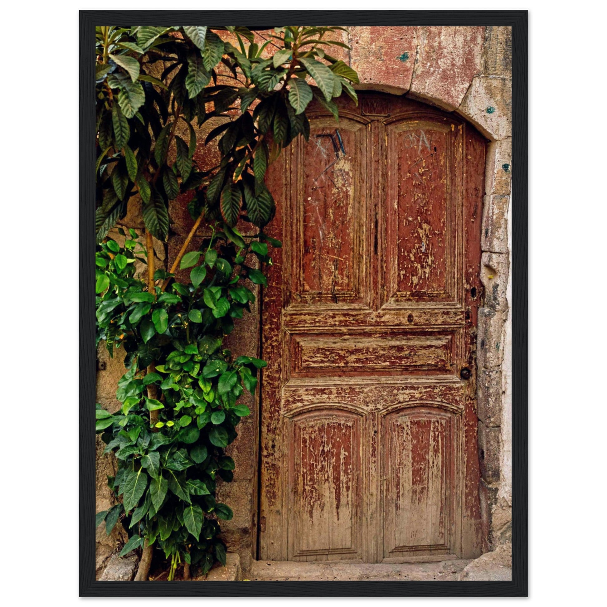 levant door photography 