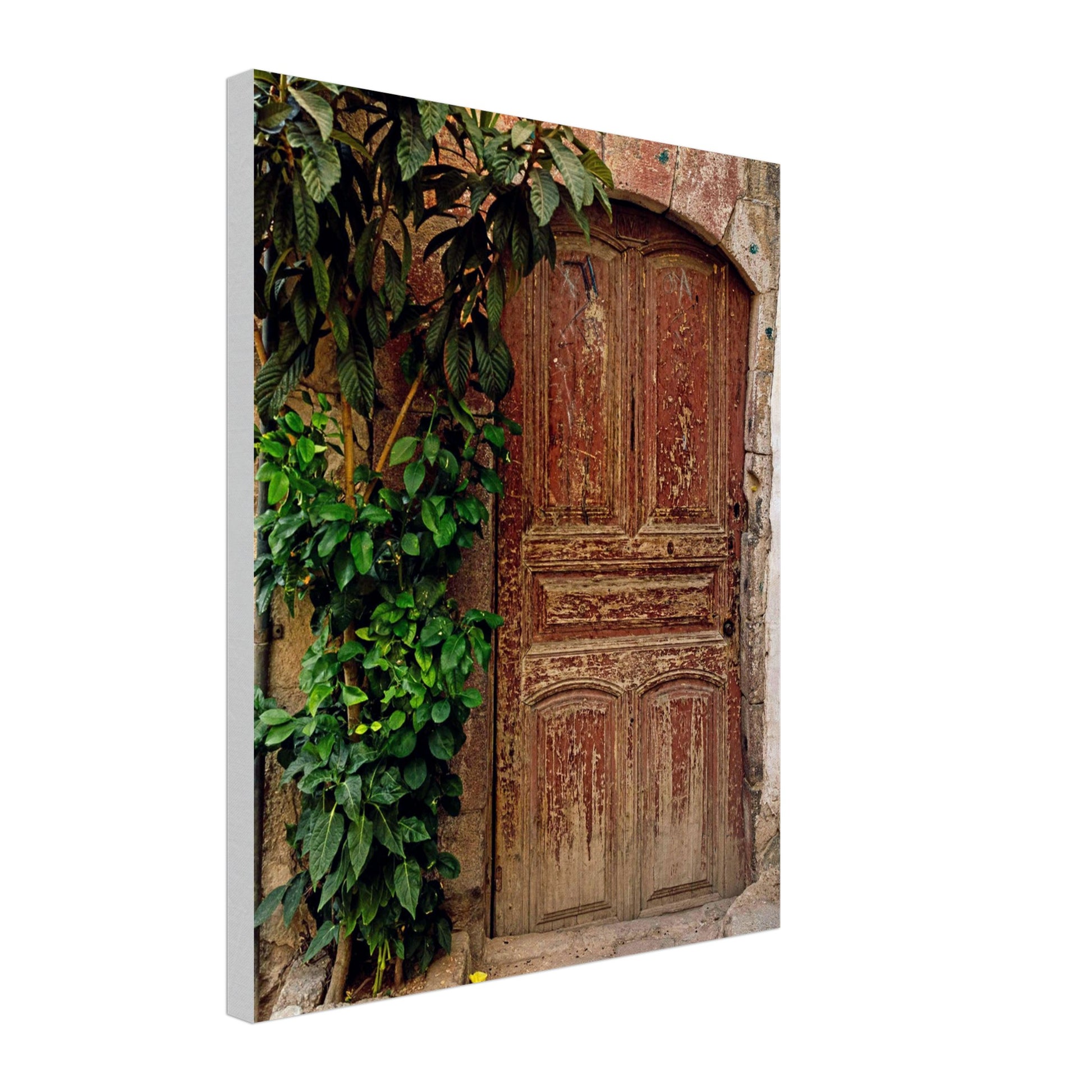 levant door canvas